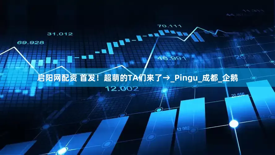 启阳网配资 首发！超萌的TA们来了→_Pingu_成都_企鹅