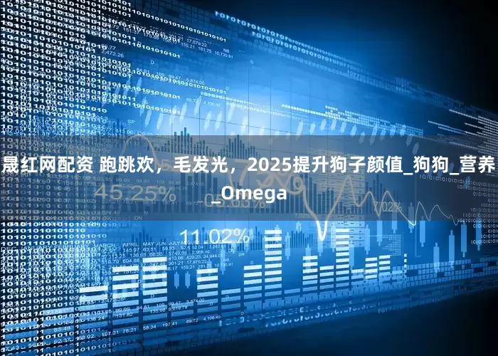 晟红网配资 跑跳欢，毛发光，2025提升狗子颜值_狗狗_营养_Omega